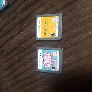 Nintendo DS Big Brain and Brain Age games